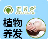 正兴合植萃染发养发
